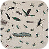 Insect Icon