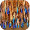 Blue-tipped Feather Coat