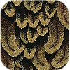 Feather Tapestry