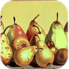 Prickly Pears