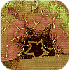 Prickly Pears