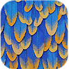 Blue Feather Coat